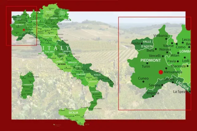 Nizza - The Quintessential Expression of Barbera