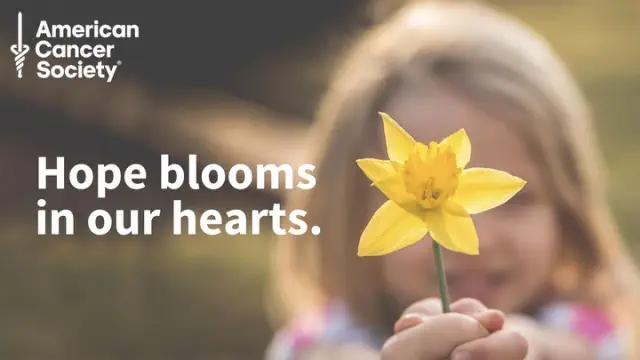 The Arrival of Daffodil Days is Approaching