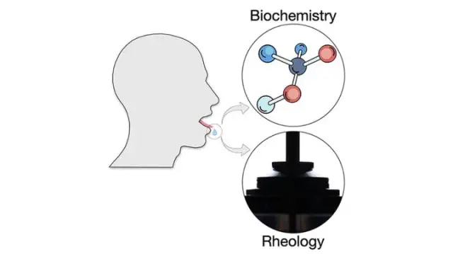 Addressing dry mouth through the analysis of saliva's rheological properties.