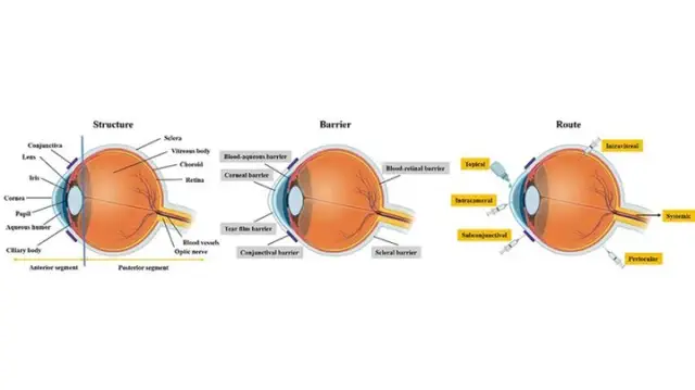 Enhancing ocular drug delivery using liposomal formulations