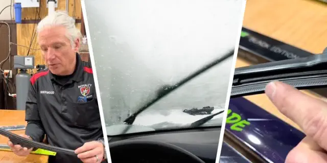 "Expert Reveals How to Keep Your Windshield Clean During Lovebug Season for Just $20 at Walmart and AutoZone"