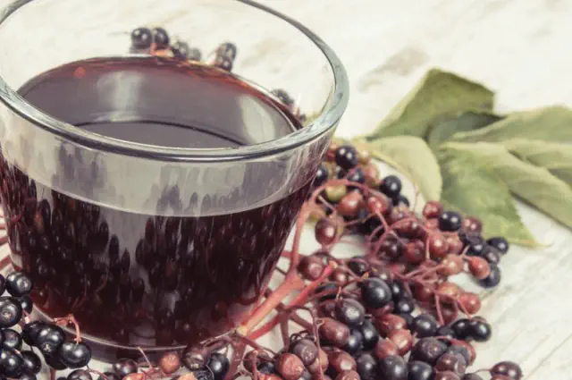 Uncover the Benefits of Elderberry: Enhance Metabolism and Achieve Effective Weight Management
