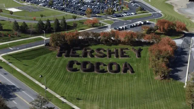 The CEO of Hershey Company has declared plans to retire.