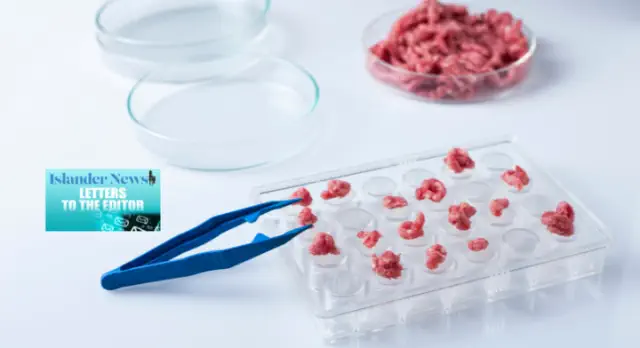 Government representatives ought to allocate resources towards research on cultured meat.