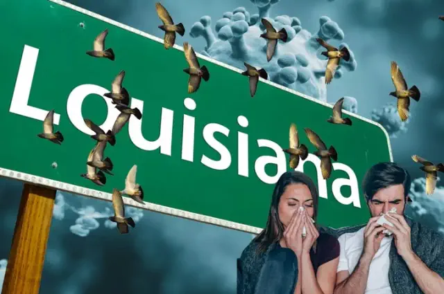 What the CDC Wants You to Understand About the Bird Flu Fatality in Louisiana