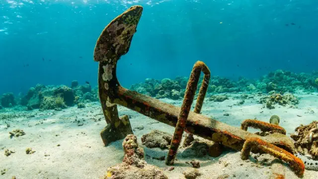 A Chinese university has submitted a patent application for an undersea cable cutting device, which was developed by a coastal institution situated directly across the ocean from Taiwan.