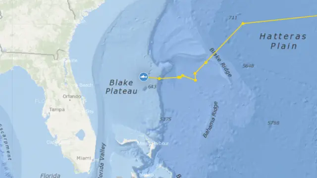 A colossal 1,400-pound great white shark was detected near a Florida beach, sending out signals four times in just one day.