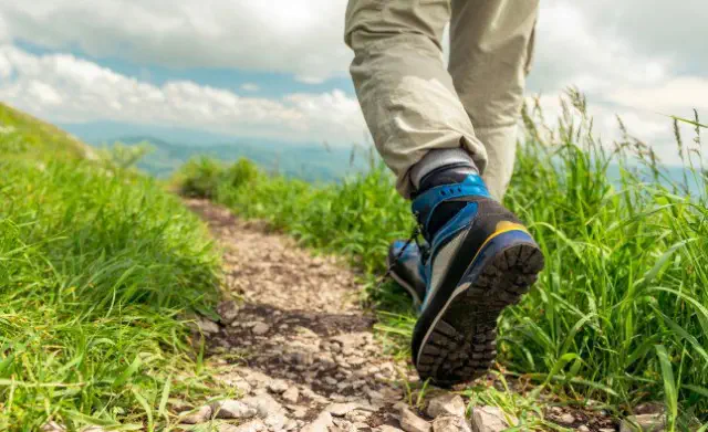 A man took 250,000 steps over the course of a week – here's how his body reacted.